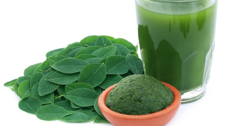 Rasa Mirip Matcha, Ini 9 Manfaat Daun Kelor untuk Kesehatan