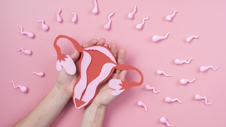 Viral Kasus Rahim Copot, Dokter Kandungan Kasih Penjelasan