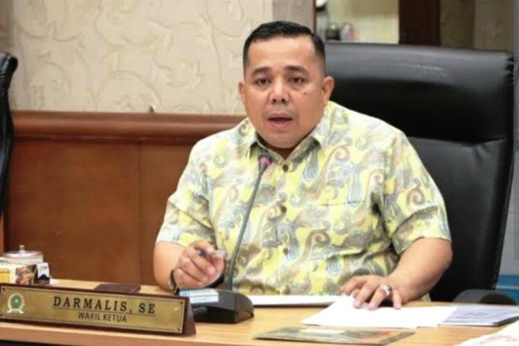 Tiga Ruas Jalan Provinsi di Rohil Rusak Berat, Wakil Ketua Komisi IV DPRD Riau Darmalis Desak PUPR Turunkan Alat