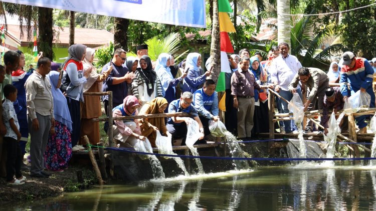 Kembangkan Budidaya Ikan Berbasis Akuaponik, PHR Dorong Ekonomi Masyarakat Minas