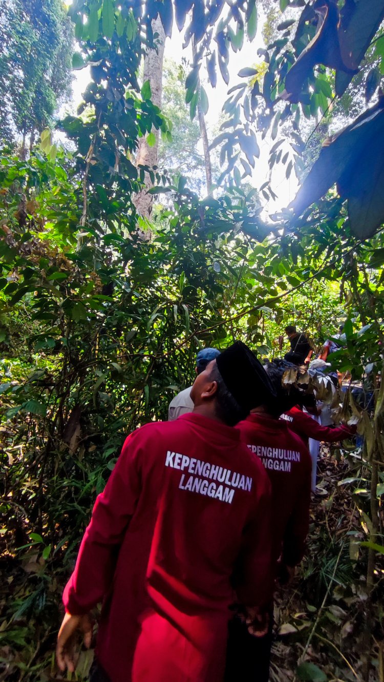 Kearifan Lanskap Hutan Ulayat Kepenghuluan Langgam, Kisah Harimau Penjaga Kampung hingga Tanaman Obat