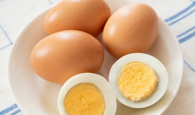 Jangan Berlebihan, Ini Batas Konsumsi Telur yang Aman dalam Sehari