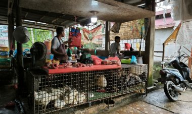 Harga Ayam Potong di Pekanbaru Tembus Rp37 Ribu per Kg, Telur Ayam Ras Rp2.500 per Butir