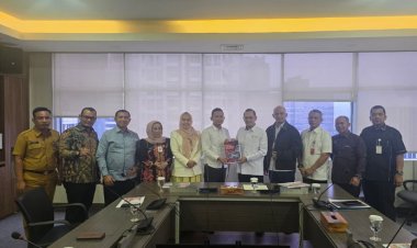 Karmila Sari Dampingi Pemkab Rohil Jemput Bola ke Kementerian dan DPR RI