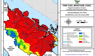 Prakiraan Cuaca Riau 25 Januari 2026, Masih Ada Hujan Intensitas Ringan, Sumatera Dikepung 480 Hotspot