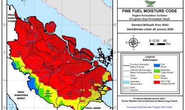 Prakiraan Cuaca Riau 26 Januari 2026, Masih Ada Hujan Intensitas Ringan, Sumatera Dikepung 480 Hotspot