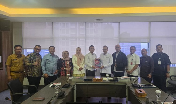 Karmila Sari Dampingi Pemkab Rohil Jemput Bola ke Kementerian dan DPR RI