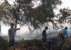 Riau Menyala 280 Titik Panas, Hotspot Terbanyak di Bengkalis, BPBD Persiapkan Penetapan Status Siaga Darurat Karhutla
