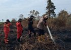 Desa Sukarjo Mesim Rupat Dilanda Karhutla, TNI-Polri dan Tim Gabungan Berjibaku Padamkan Api di Lahan Gambut
