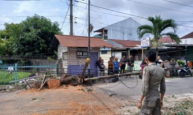 Tiang Fiber Optik Tumbang di Jalan Rindang Tangkerang Labuai, Pemko Pekanbaru Akan Panggil Operator Telekomunikasi