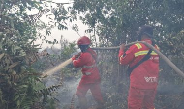 Hotspot Riau 90 Titik Panas Masih Terbanyak di Sumatra, Update 6 Februari 2026 hingga Pukul 23.00 WIB
