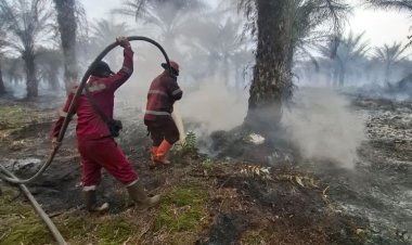 Hotspot di Bengkalis Masih yang Terbanyak, Pemprov Riau Tetapkan Status Siaga Darurat Karhutla hingga 30 November 2026