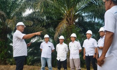 Strategi Inklusif PTPN IV Palmco, Miniatur Indonesia Perkuat Ketahanan Pangan Energi Nasional