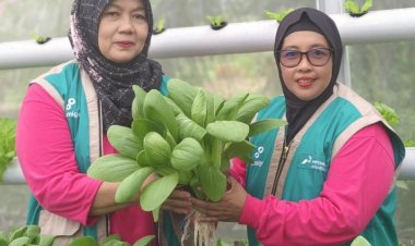 Kisah Perempuan Tangguh Penjaga Iklim di Kelurahan Air Jamban, Saat Lahan Gersang Berubah Menjadi Ladang Cuan