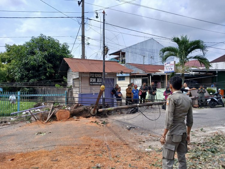 Tiang Fiber Optik Tumbang di Jalan Rindang Tangkerang Labuai, Pemko Pekanbaru Akan Panggil Operator Telekomunikasi