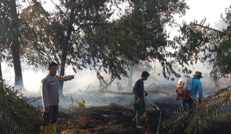 Hotspot di Riau Meningkat Jadi 160 Titik, Terbanyak di Pelalawan, Personel Gabungan Riau Terus Bertambah di Lokasi Karhutla