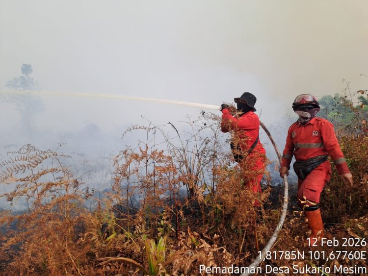 Hotspot Bengkalis Tembus 206 Titik Panas hingga 14 Februari 2026 pukul 23.00 WIB, Manggala Agni Riau Berjibaku Padamkan Karhutla
