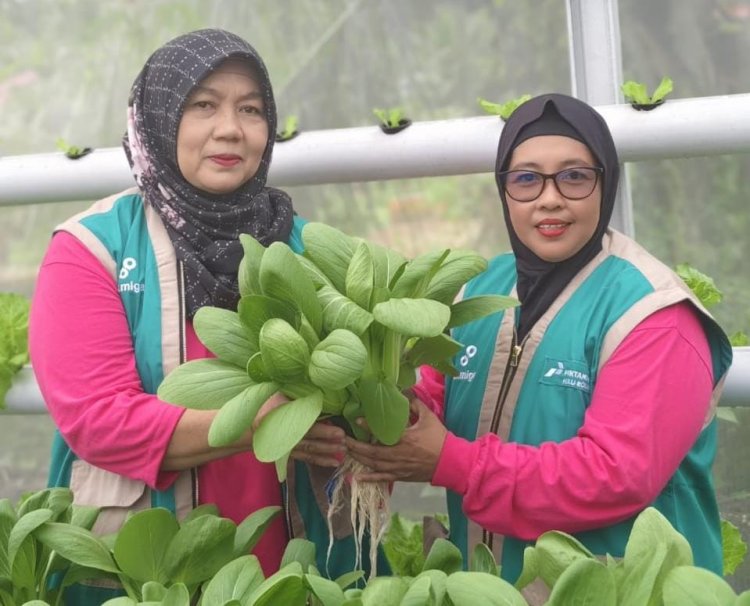 Kisah Perempuan Tangguh Penjaga Iklim di Kelurahan Air Jamban, Saat Lahan Gersang Berubah Menjadi Ladang Cuan