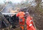 229 Titik Panas Menyala di Riau, Hotspot Terbanyak di Bengkalis, Petugas Gabungan Cegah Asap Menyeberang ke Malaysia