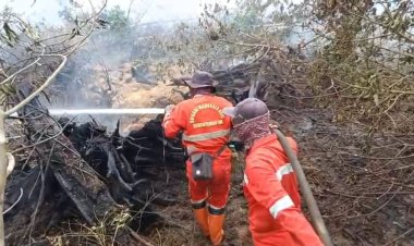 229 Titik Panas Menyala di Riau, Hotspot Terbanyak di Bengkalis, Petugas Gabungan Cegah Asap Menyeberang ke Malaysia