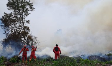 Plt Gubri SF Hariyanto: Muharmizan Pahlawan Lingkungan, Personel Manggala Agni Meninggal Dunia Usai Padamkan Karhutla di Bengkalis