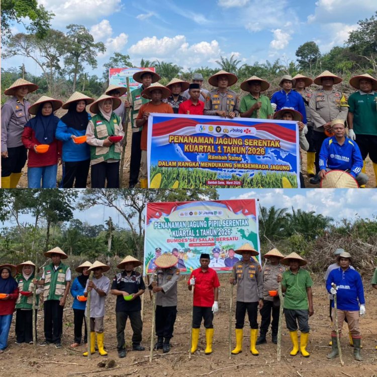 PT KSM Serahkan Bibit Jagung Unggul PIONEER 32 kepada Kelompok Tani Desa Sei Salak