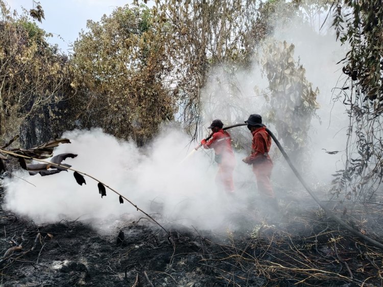 Hadapi Angin Kencang dan Krisis Air Manggala Agni Padamkan Api di 7 Titik, Karhutla di Riau Meluas