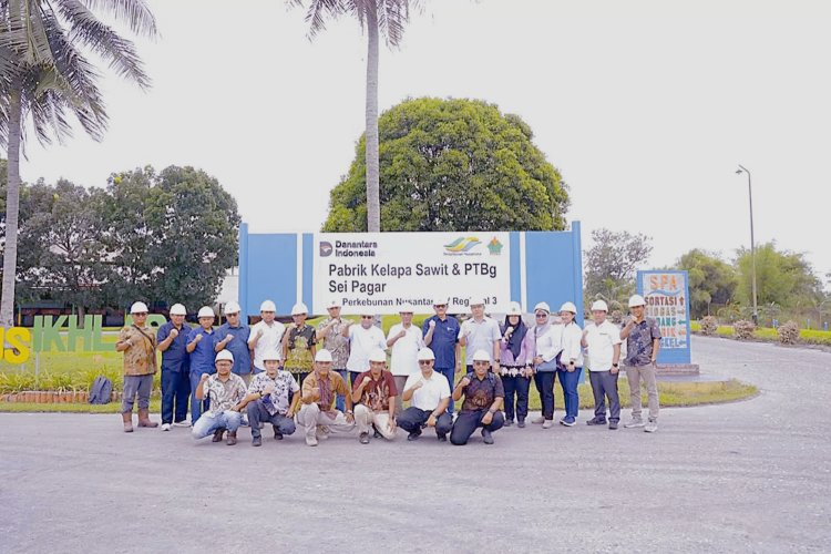 PTPN IV Regional III Awali 2026 dengan Kinerja Optimal, Capaian Produksi TBS 244 Ribu Ton