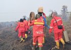 285 Titik Panas Kepung Riau, Bengkalis dan Pelalawan Masih Jadi Fokus Pemadaman Karhutla