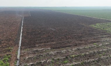 Kebakaran Lahan Sawit di Merbau Berhasil Dipadamkan