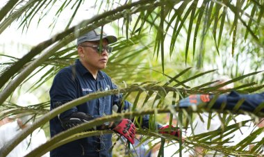 PTPN IV PalmCo Perkuat Deteksi Dini Karhutla dan Strategi Agronomi, Antisipasi Potensi Kemarau El Nino Godzilla