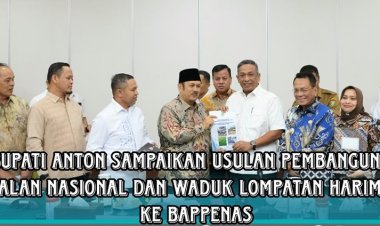 Bupati Rohul Audiensi ke Bappenas, Usulkan Jalan Nasional dan Waduk Strategis