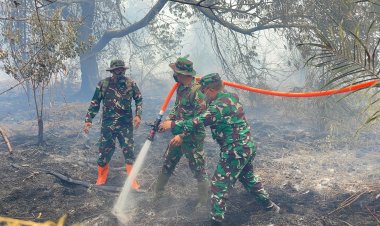 Asops Kasdam XIX/Tuanku Tambusai Pimpin Tim Gabungan Padamkan Karhutla di Desa Teluk Lancar Bengkalis