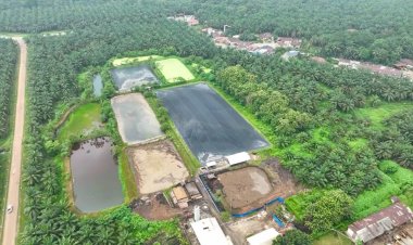 Dua PLTBg Ini Jadi Andalan PTPN IV PalmCo Tekan Biaya, Manfaatkan Limbah Cair Kelapa Sawit Jadi Sumber Energi