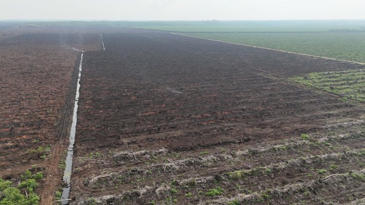Kebakaran Lahan Sawit di Merbau Berhasil Dipadamkan
