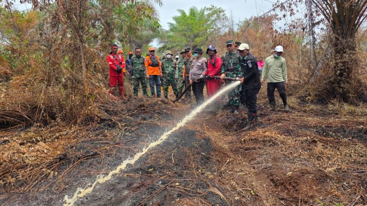 Asops Kodam XIX/Tuanku Tambusai Ikuti Patroli Udara, Tim Gabungan Padamkan Kebakaran Lahan Gambut di Pelalawan
