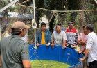 Meraup Berkah di Tengah Kepungan Sawit, Tangan Dingin Suparman Bangun Kemandirian Ekonomi Bangko Jaya