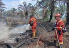 Tim Gabungan Masih Padamkan Karhutla di Riau, Bara Api Sering Tersembunyi di Bawah Tanah