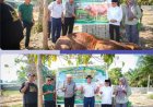 Sapi Kurban 829 Kg dari Presiden Prabowo Disembelih di Inuman, Bupati Kuansing: Berkah untuk Warga dan Santri