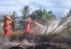 Tim Manggala Agni Riau Berjibaku Padamkan Karhutla, Hujan tak Jamin Padamkan Api di Lahan Gambut