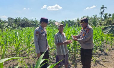 Kapolsek Ujungbatu Berikan Bantuan Racun Hama kepada Petani Jagung di Desa Ngaso