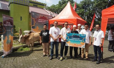Telkomsel Salurkan Hewan Kurban Iduladha 1447 H, Perluas Manfaat bagi Masyarakat Melalui Semangat Kebersamaan