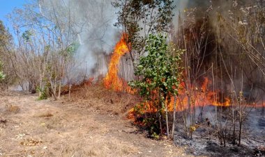 Pekanbaru Masuki Musim Kemarau El Nino, Pemko Tetapkan Status Siaga Darurat Bencana Karhutla 