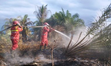 Tim Manggala Agni Riau Berjibaku Padamkan Karhutla, Hujan tak Jamin Padamkan Api di Lahan Gambut