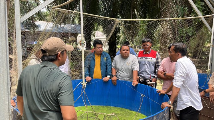 Meraup Berkah di Tengah Kepungan Sawit, Tangan Dingin Suparman Bangun Kemandirian Ekonomi Bangko Jaya