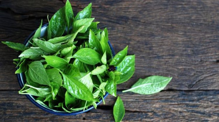 Bukan Cuma Lalapan, Ternyata Kemangi Bisa Jadi Skincare Anti Inflamasi