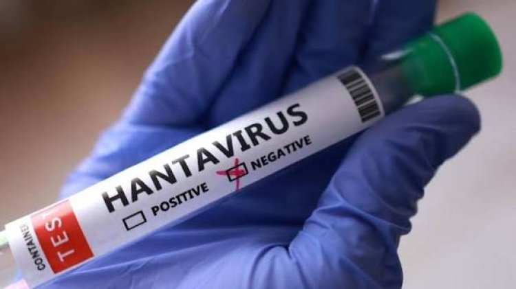 Waspada Hantavirus, Kemenkes Terapkan Skrining Gejala untuk Pelaku Perjalanan LN