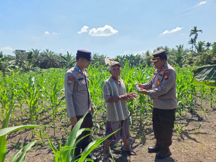 Kapolsek Ujungbatu Berikan Bantuan Racun Hama kepada Petani Jagung di Desa Ngaso