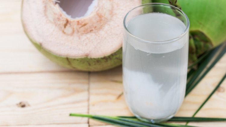 Air Kelapa Murni Bisa Redakan Asam Lambung/GERD, Mitos atau Fakta?