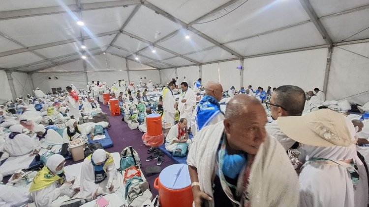 Jemaah Haji Indonesia Wukuf di Arafah Hari Ini, Kemenhaj Tempatkan 657 Petugas di Berbagai Titik Layanan